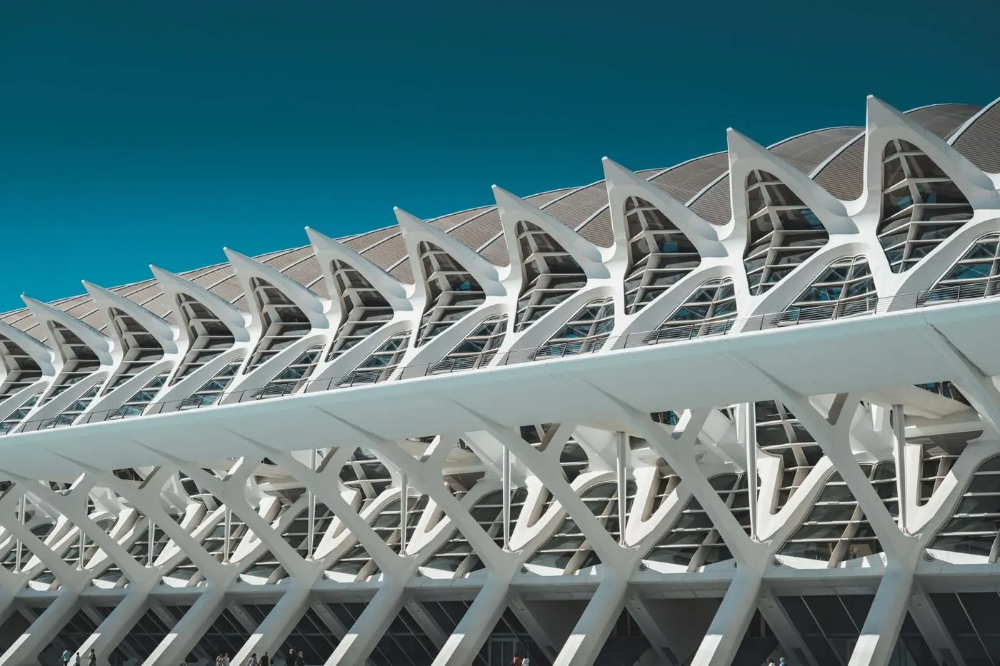 Estructura blanca de costillas de hormigón del Museu de les Ciències